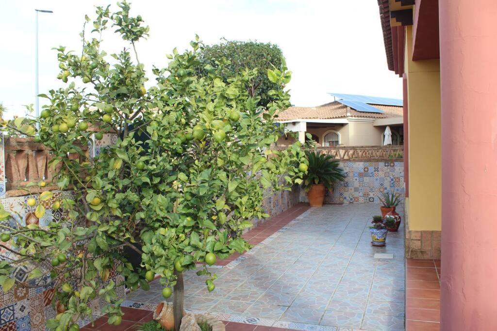 Casa 4 Dormitorios En Ayamonte Exterior photo